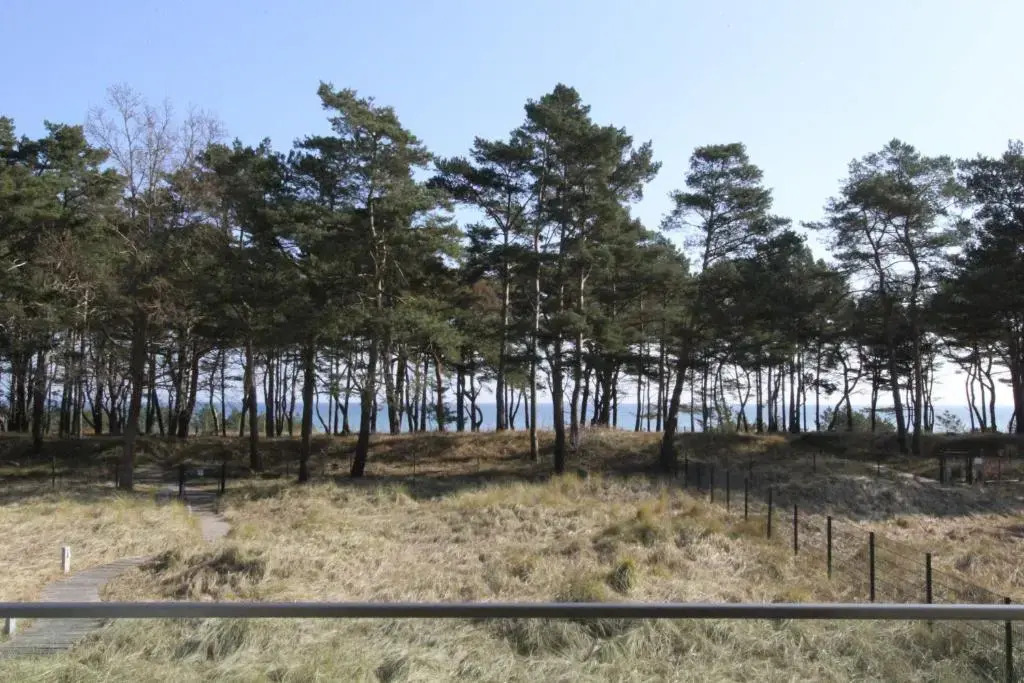 Strandresidenz Appartement Graugans A06 inklusive 1 Strandkorb