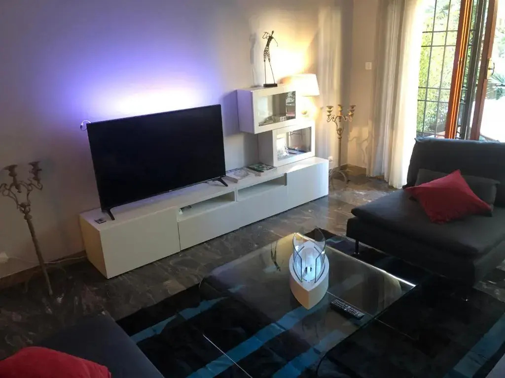 Luxury Apartment
