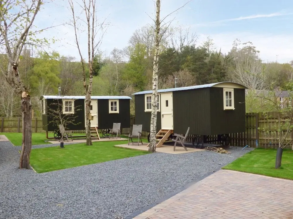 William's Hide