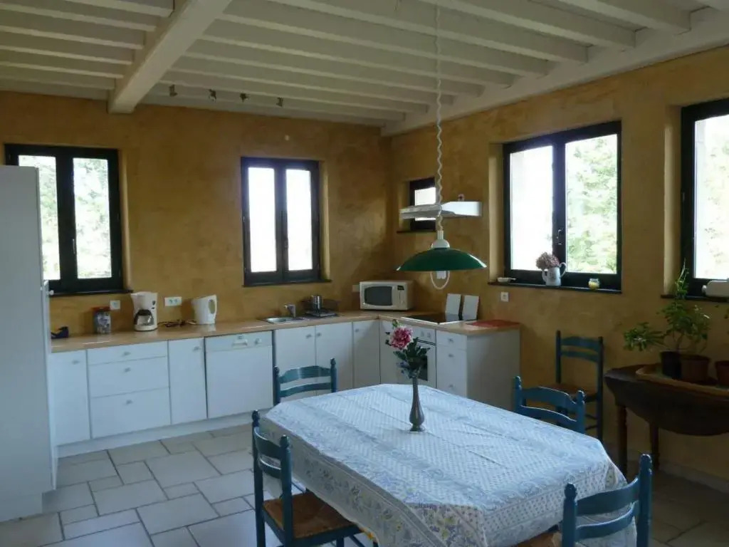 Gîte spacieux avec cheminée et animaux admis - FR-1-496-31