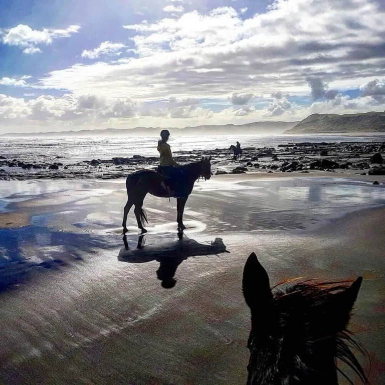 Raglan Backpackers