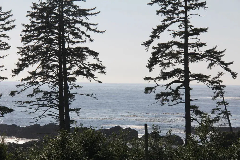 The Ridge by Natural Elements Rentals