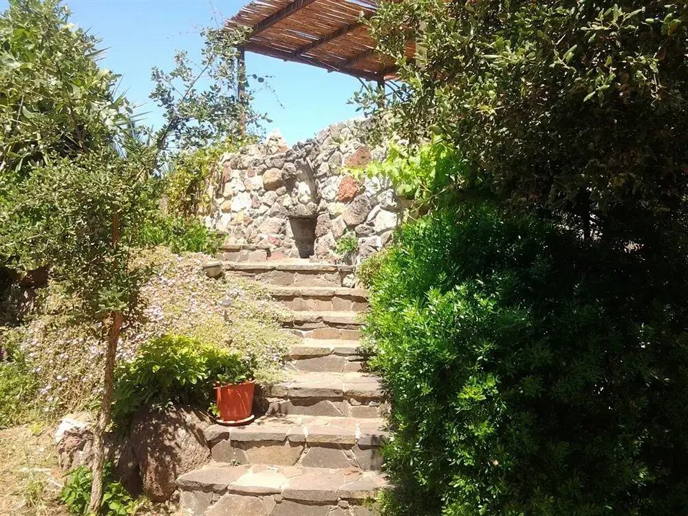 Fattoria S'Imbiligu