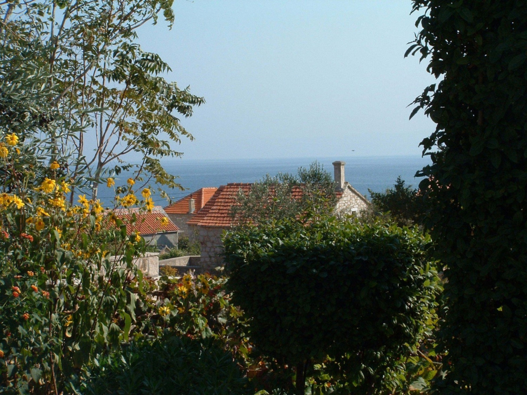 Room Mate 1 - 130 m from sea: R1 Zuta Bol, Island Brac