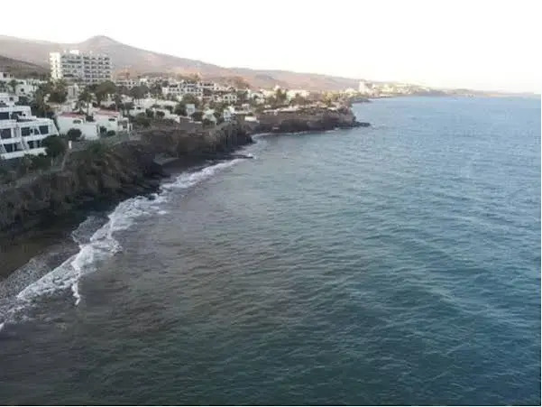 Flipper Top Suites