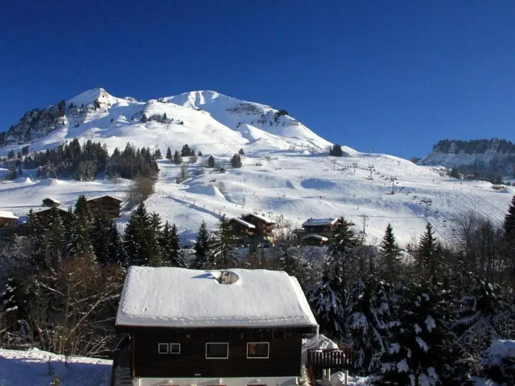 Studio Le Grand-Bornand, 1 pièce, 4 personnes - FR-1-458-89