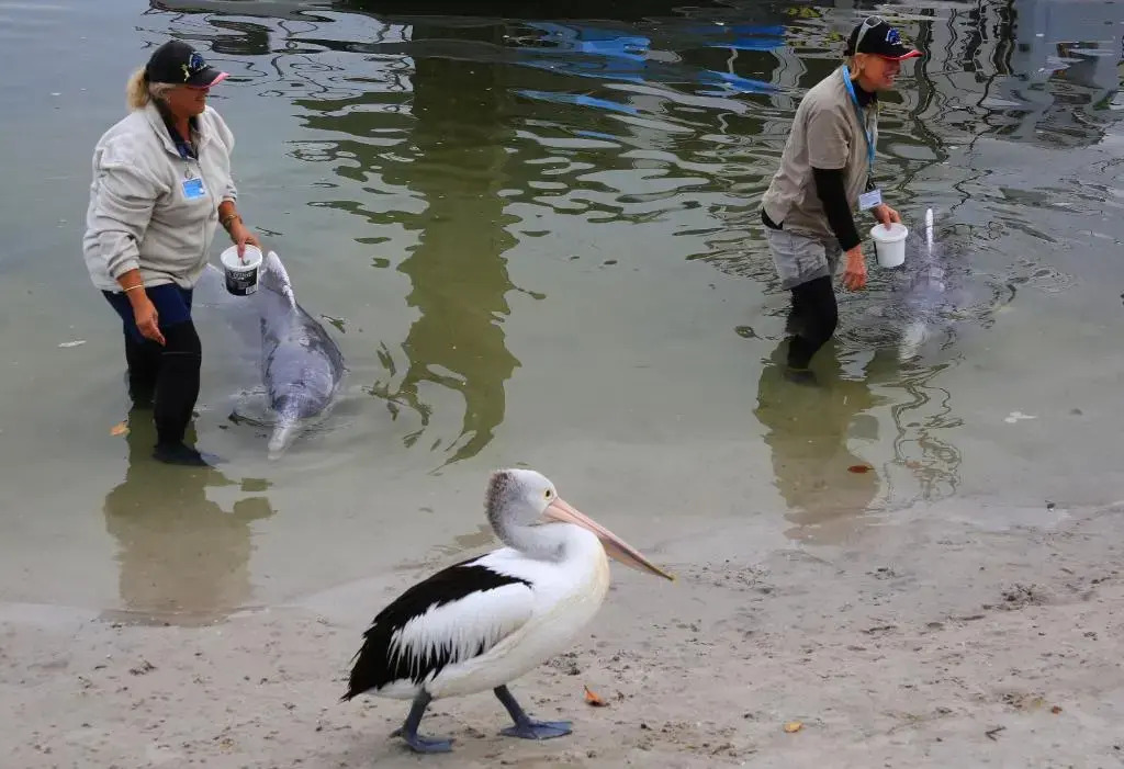 Tin Can Bay Tourist Park