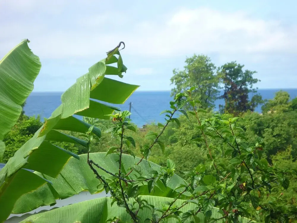 Studio in Marigot, With Wonderful sea View, Enclosed Garden and Wifi