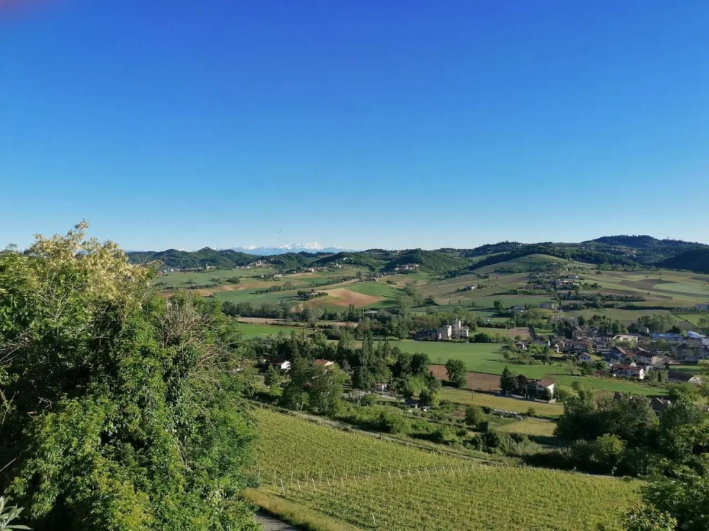 La Bella Vite