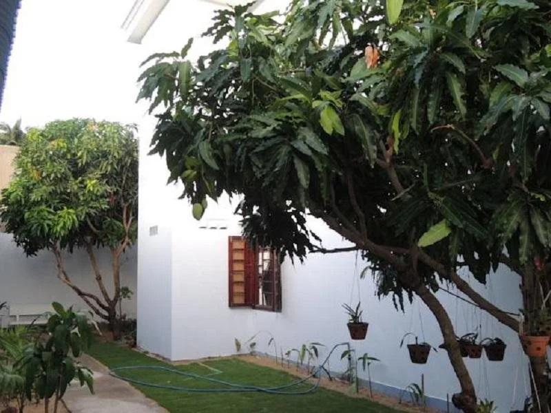 Xuan Anh Guesthouse