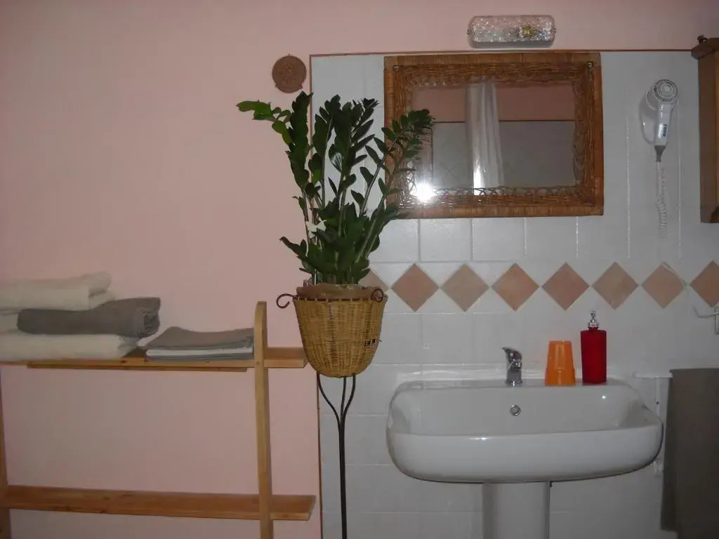 B&B Artemia