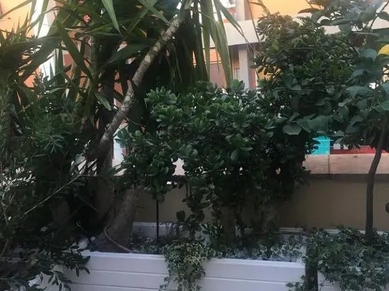 B&B Borgo Marina