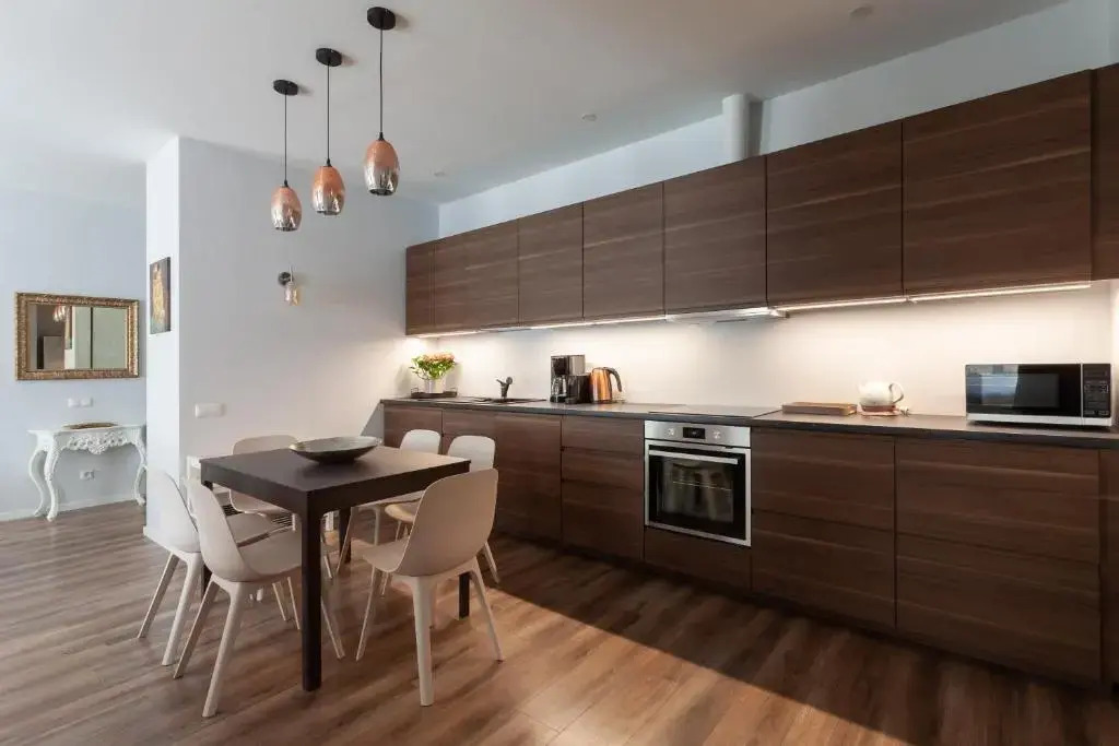 Brand new flat heart of Vilnius
