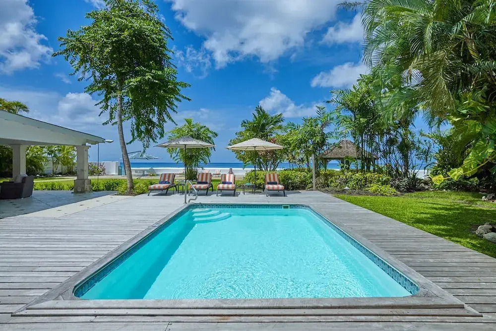 High Trees Blue Sky Luxury