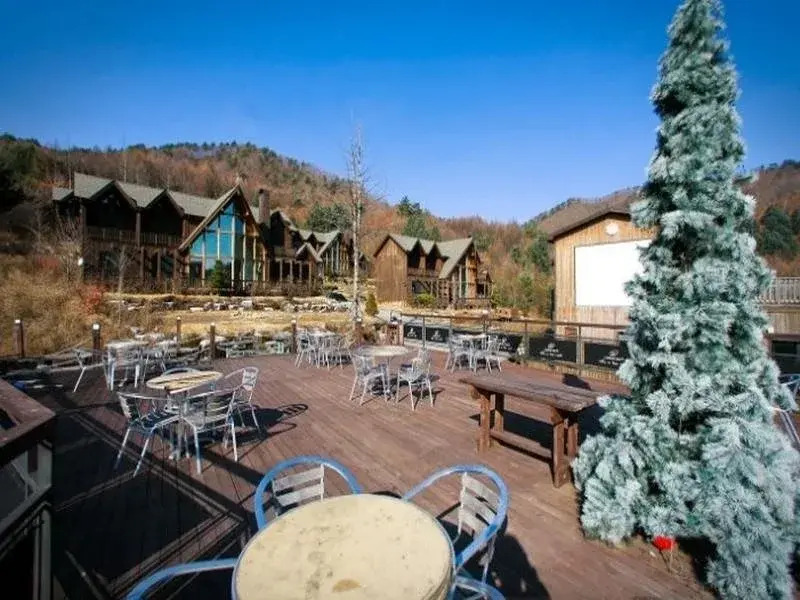 Chalet Resort