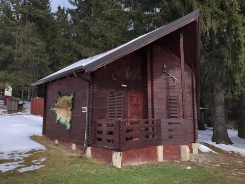 Pensiunea Vanatorul