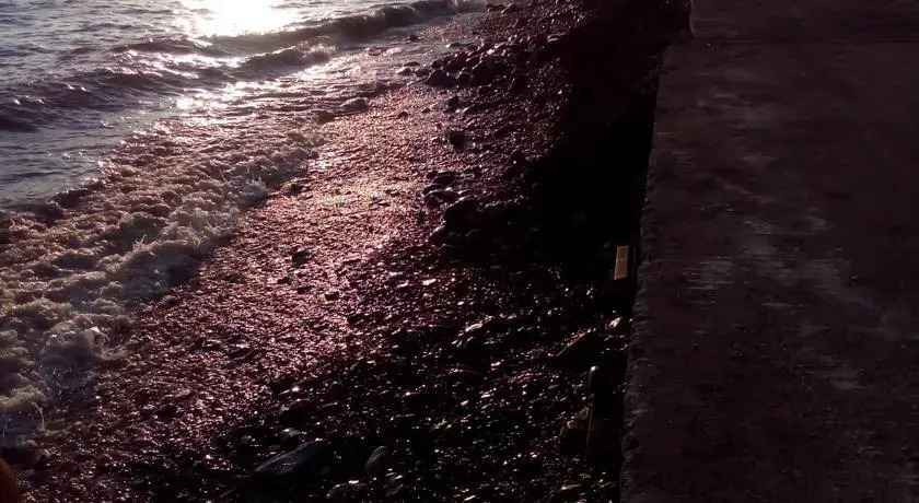 Эллинг около Моря