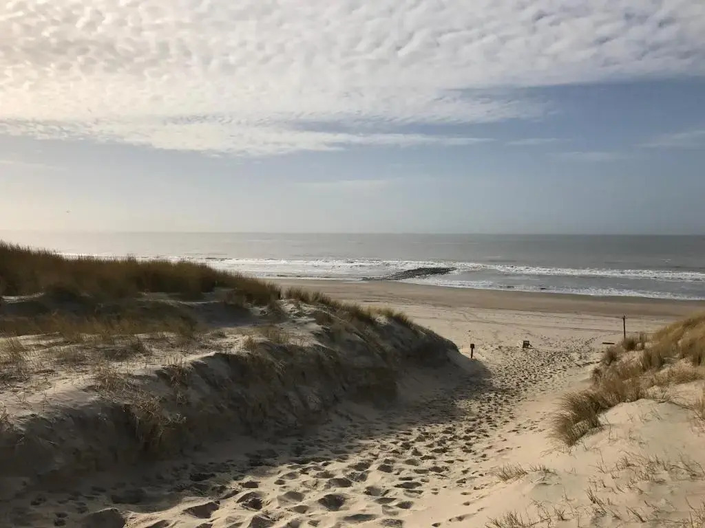 Texelheerlijk 18