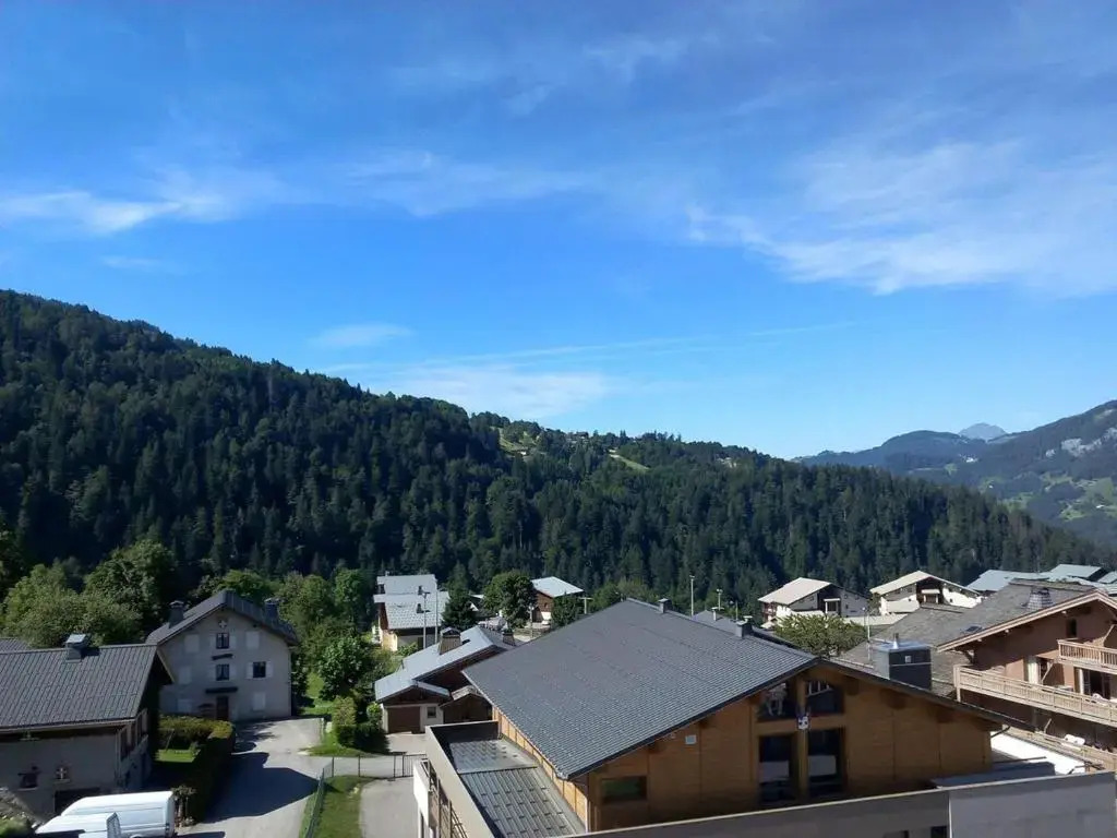 Appartement Notre-Dame-de-Bellecombe, 1 pièce, 3 personnes - FR-1-595-28