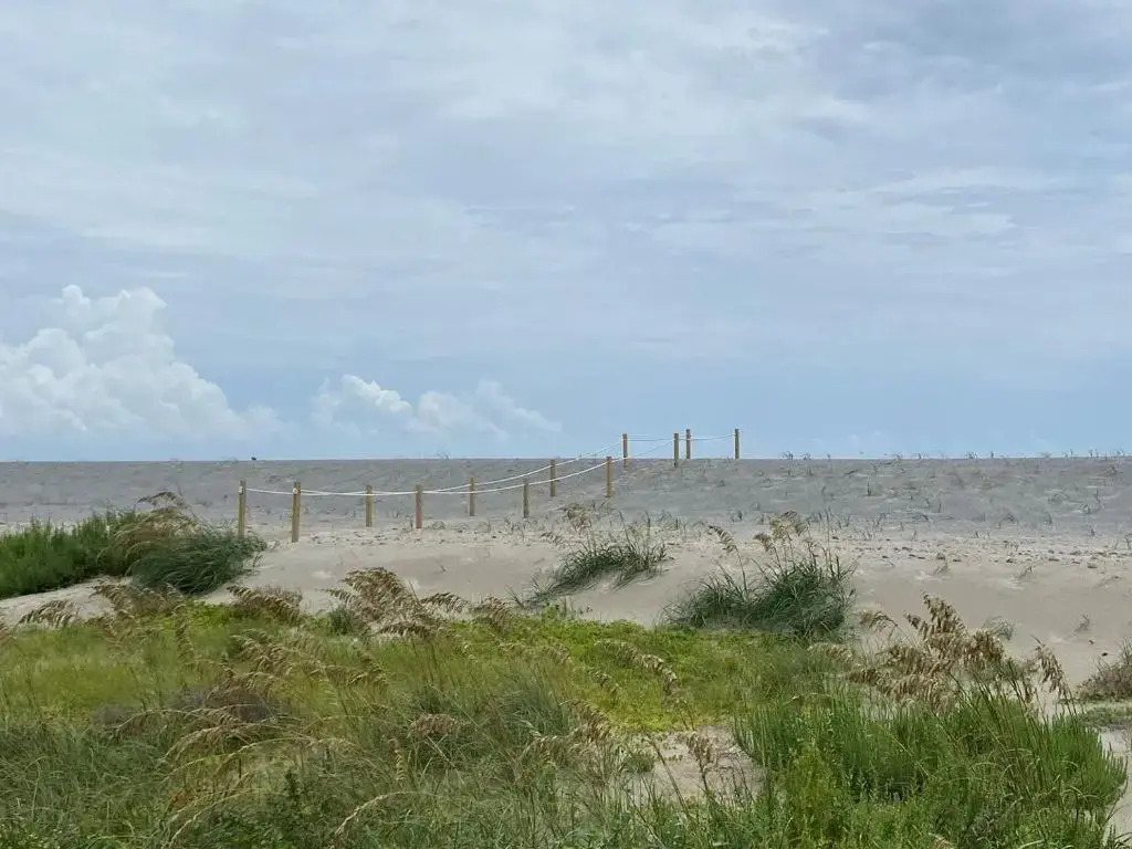 AfterDune Delight