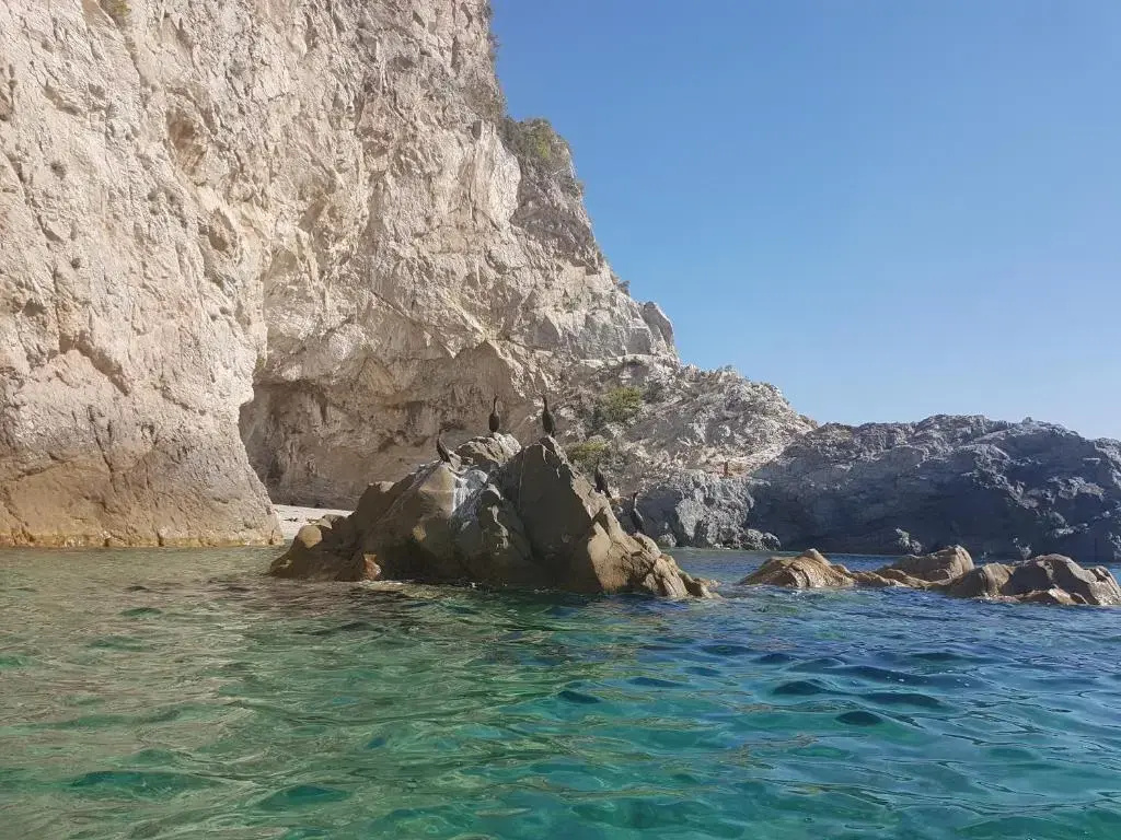 VILLA NATURA