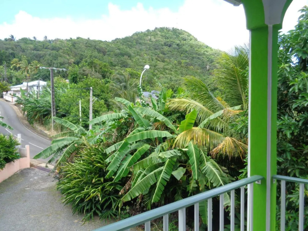 Jardin Bananier