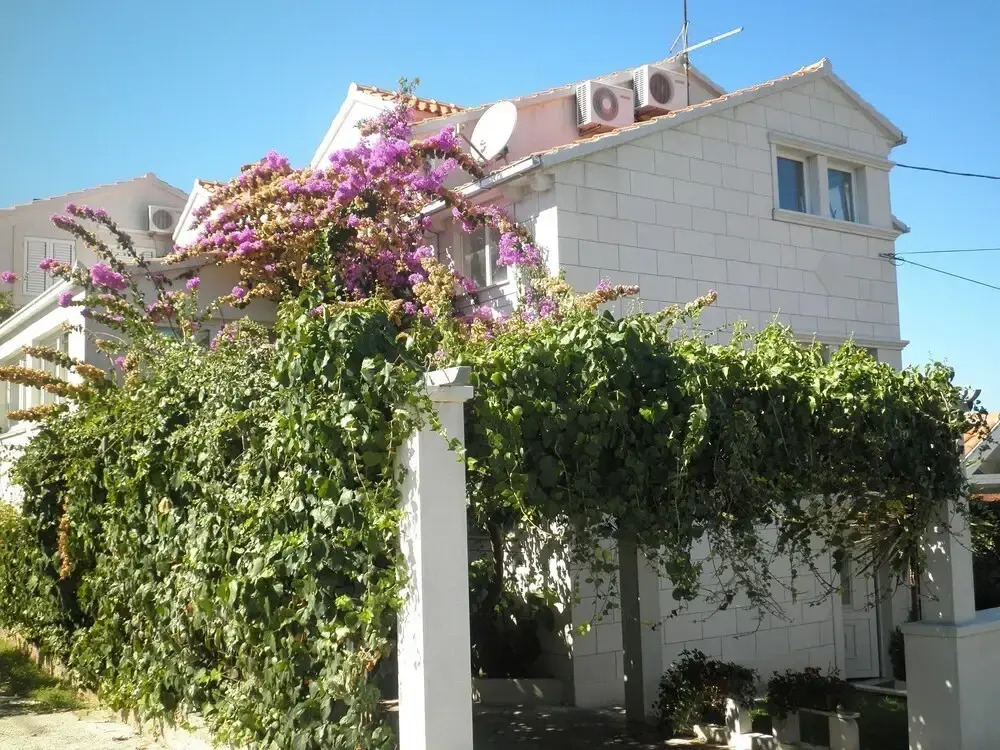Aldica - 300 m From sea - A2