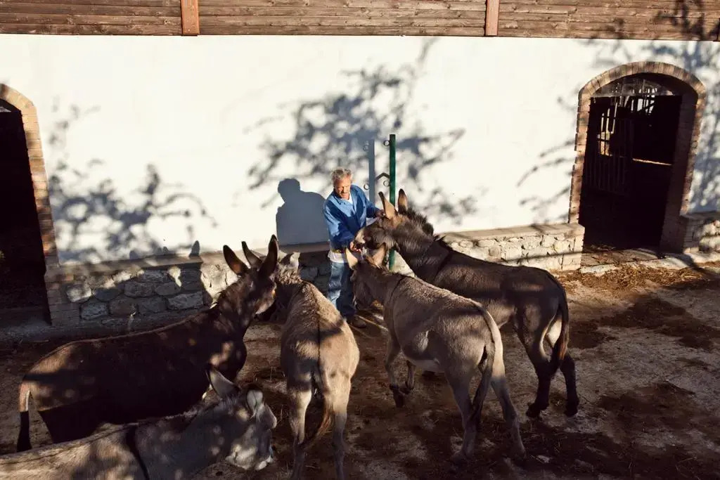 Agriturismo Walden