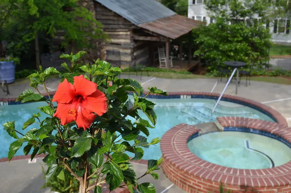 Stone Mountain Manor