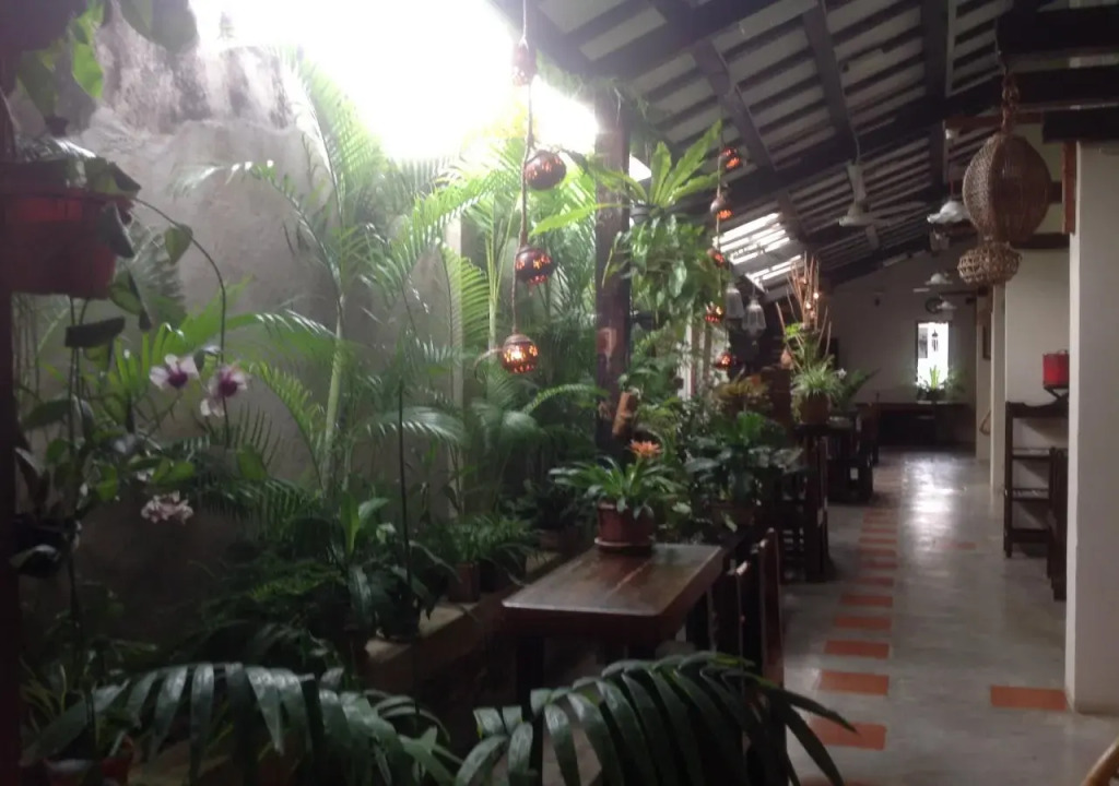 Palm Mansion Boutique Suites