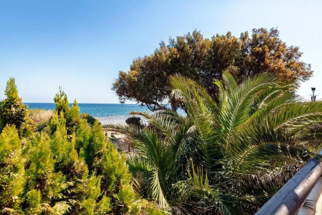 Athens windsurfing, Artemida Loutsa, Seaside Apartment