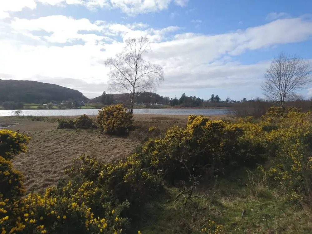 Lochside