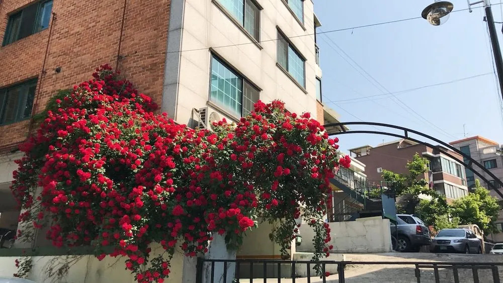 Seoul Guesthouse July