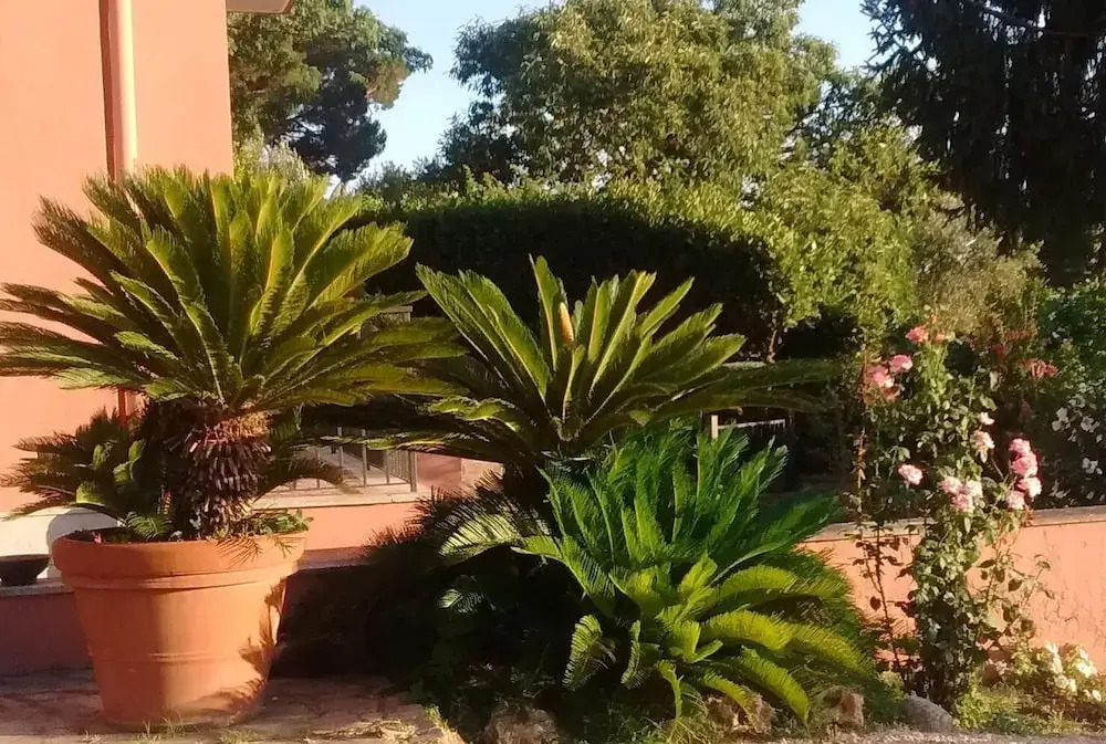 La Casa di Lilì