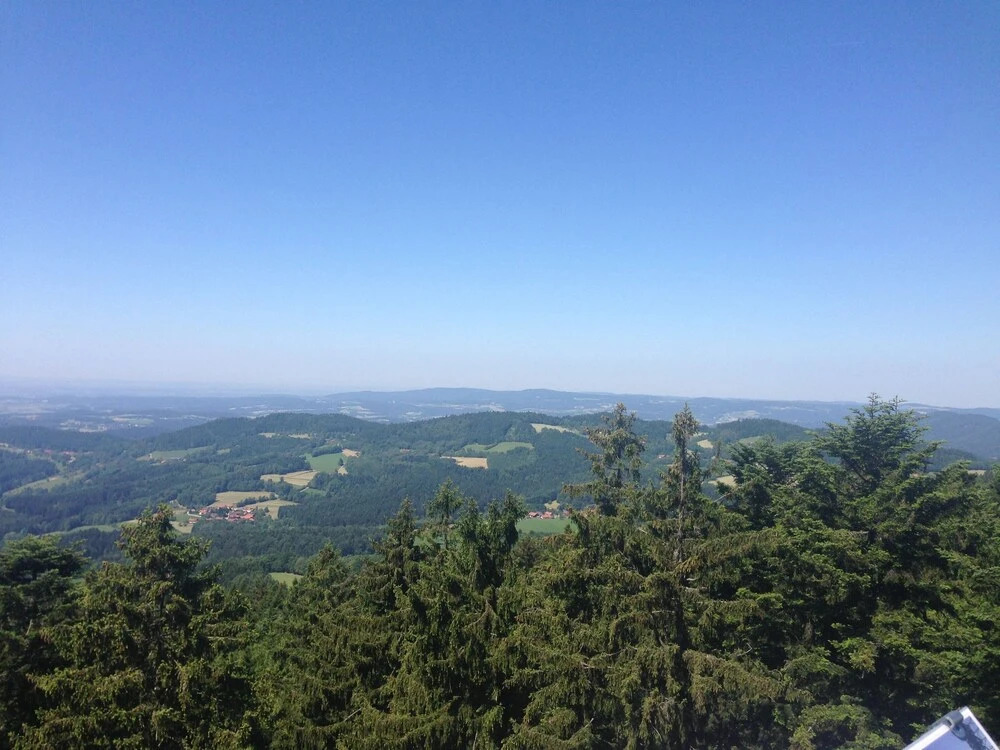 Serene Holiday Home in Bischofsmais Bavaria near Forest