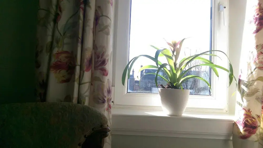 Belmont Guest House