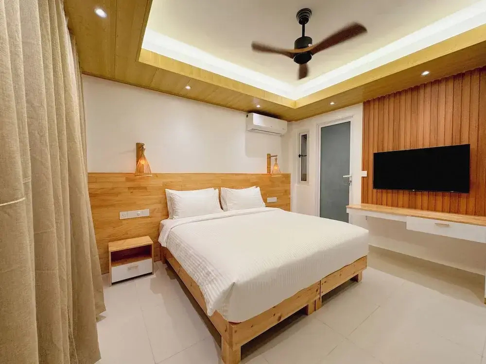 Pavona Maldives