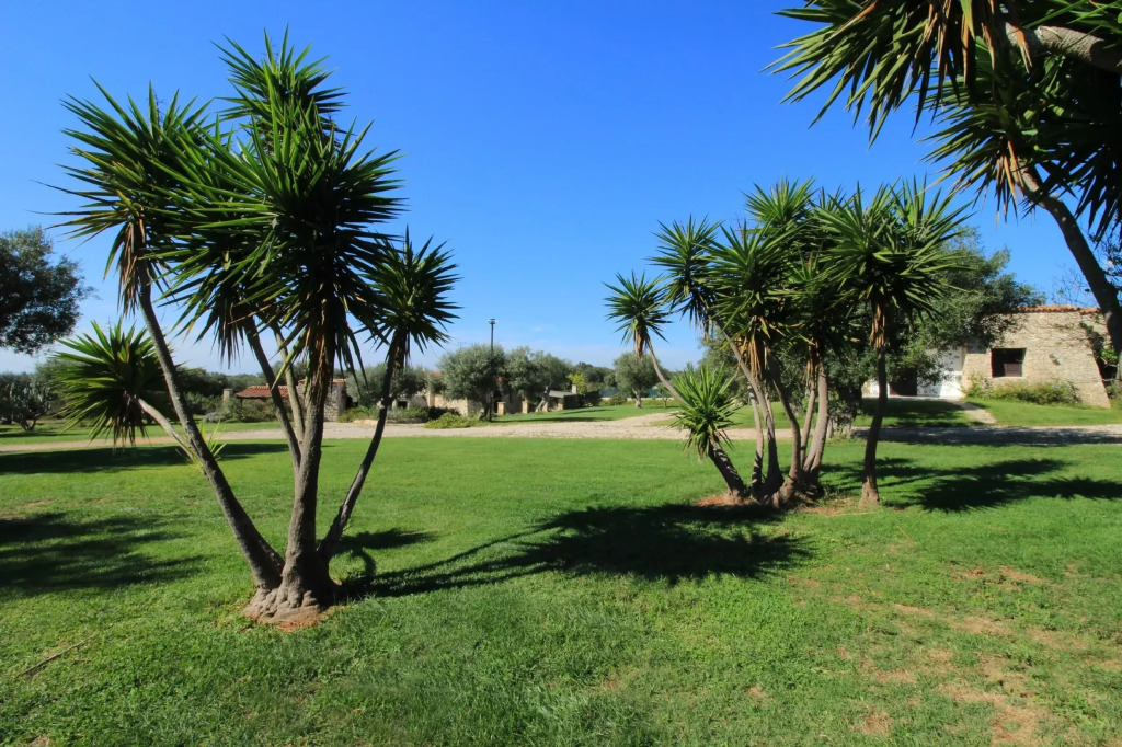 Sage Beach Trullo in Pescoluse