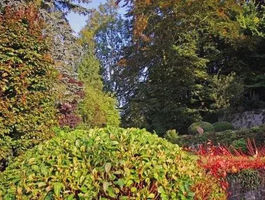 Dépendance Maison Géron