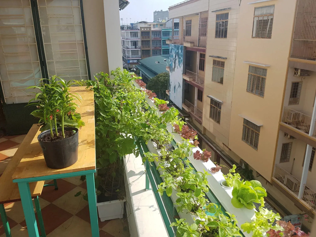 Winter Spring Homestay