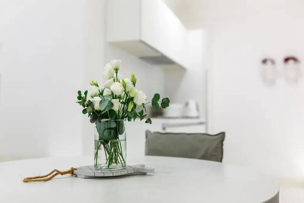 White Stylish Apartments