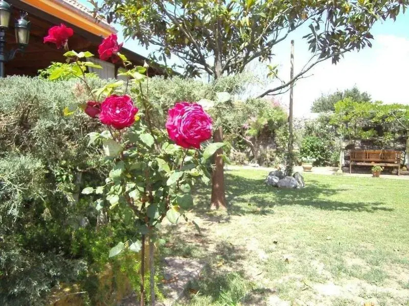 Hosteria Las Fuentes