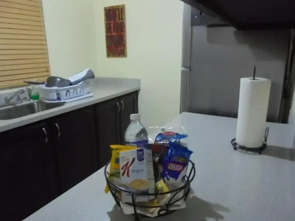 New Kingston Guest Apartment IV
