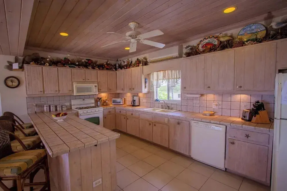 Flipper'S Haven: Tropical Retreat