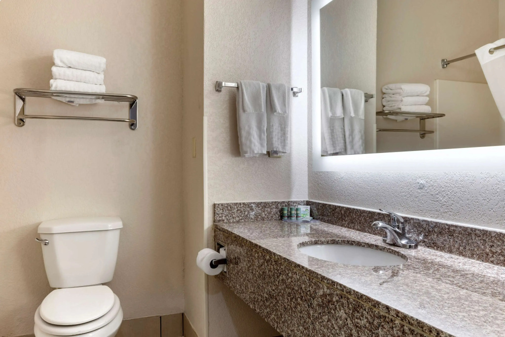 Best Western Palo Duro Canyon Inn & Suites
