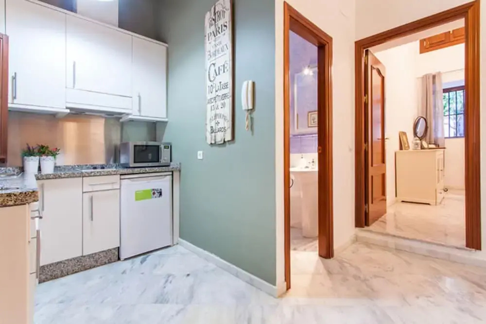 Deluxe apartment Galindo