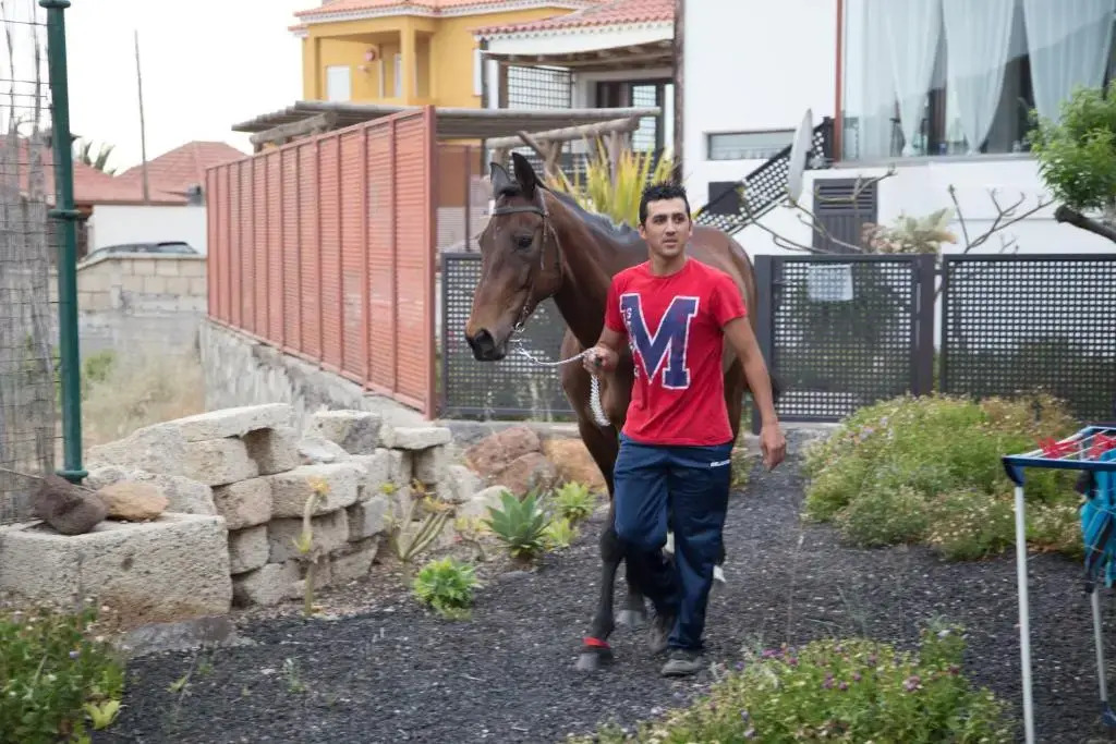 Casas ALBERTO TELEWORKING