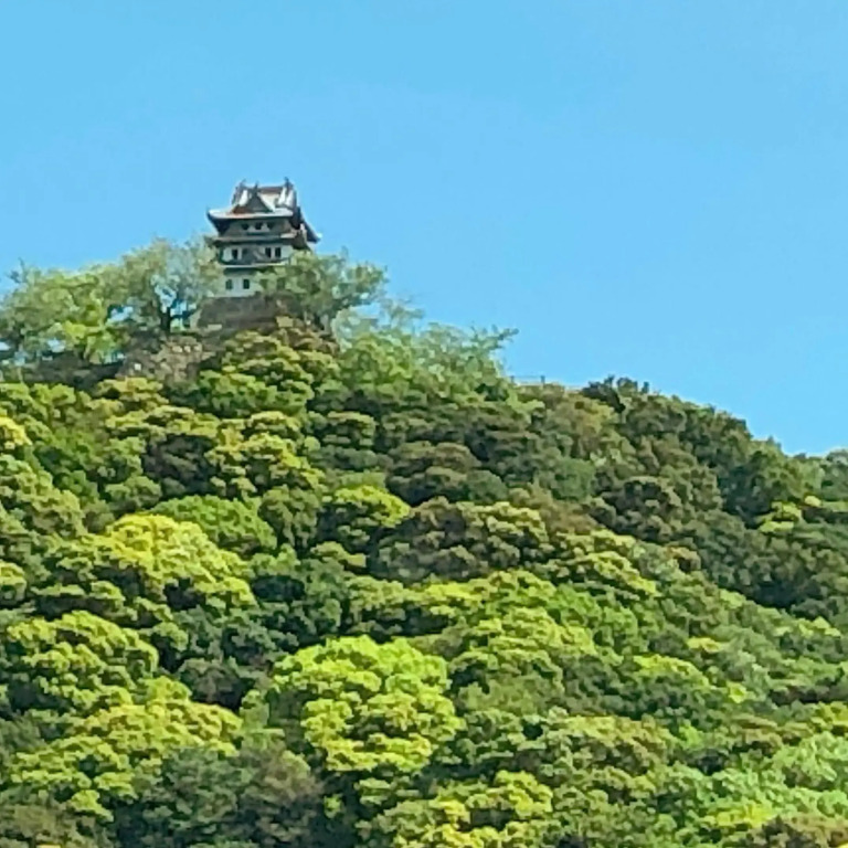 Sumotoya