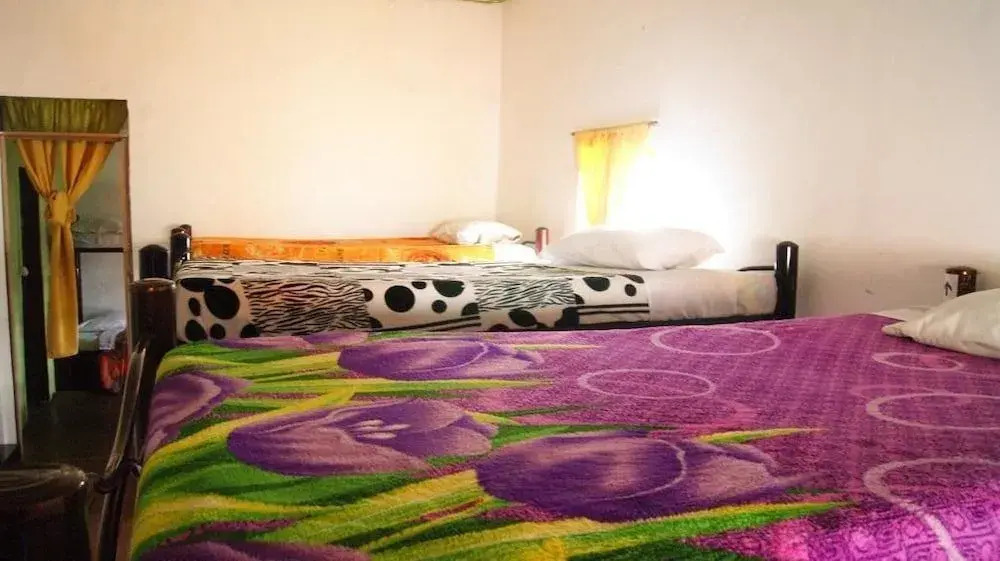 Hostal Casa del Loro - Hostel