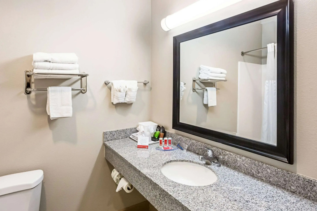 Econo Lodge Baton Rouge University Area